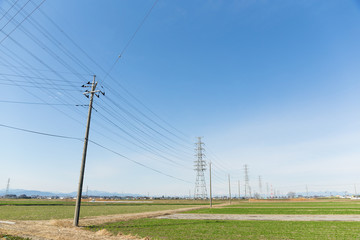 Wall Mural - Power line