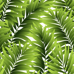 Wall Mural - Leaves of palm tree. Seamless pattern. Vector illustration