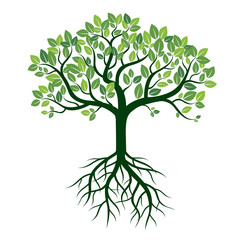 Wall Mural - Color Tree and Roots. Vector Illustration.