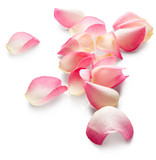 Fototapeta Storczyk - Rose petals