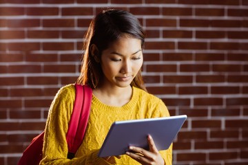 Poster - Focused asian female student using tablet
