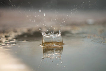 Water splash or water drop - (Selective focus)