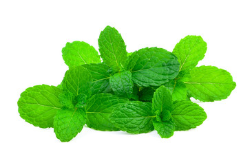 mint leaf on white background