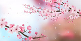 cherry blossom realistic , blur background