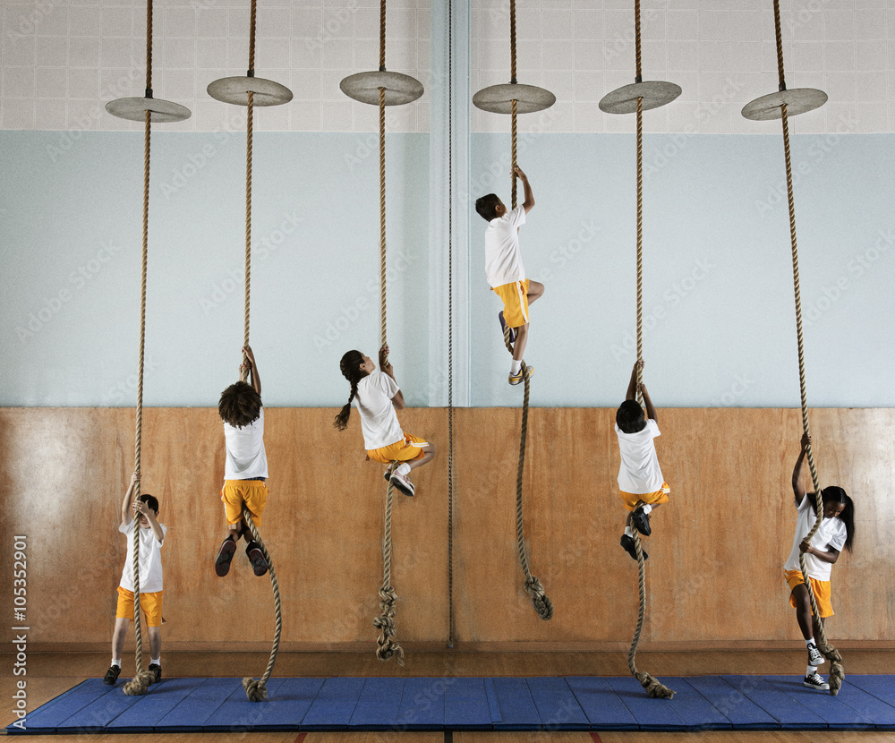 Photo Stock Children climbing ropes in school gym Adobe Stock
