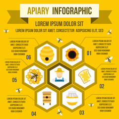 Poster - Apiary infographic, flat style