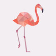 Vector geometric flamingo.