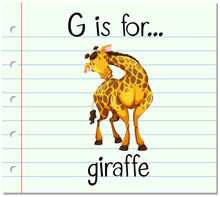 Flashcard Letter G Is For Giraffe