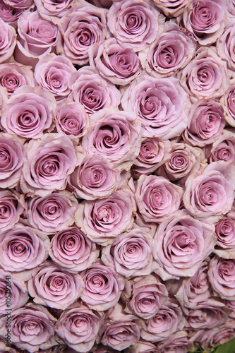 Fototapeta na wymiar Purple rose wedding arrangement