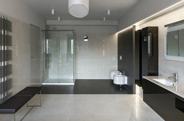 Luxury bathroom interior