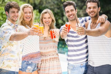 Wall Mural - Group of friends showing their glass of juice