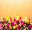 © Bashkatov - Colorful tulips on wooden background_8