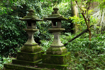 Wall Mural - Stone lantern in japanese temple