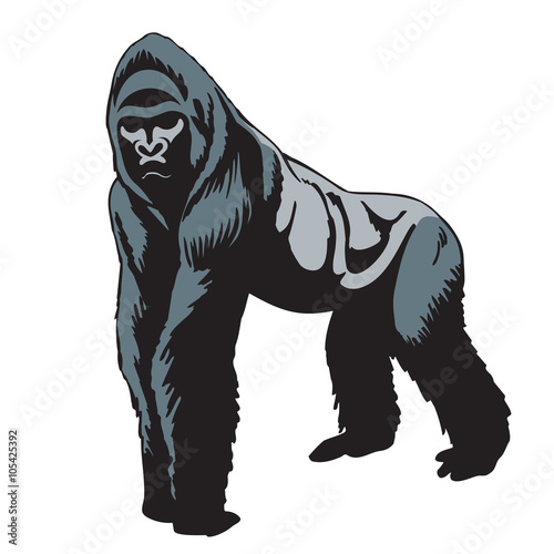 
Silverback gorilla silhouette
