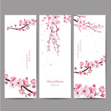  cherry blossom collection , greeting cards , seamless texture ,