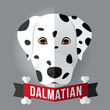 Image of a dog's face. dalmatian. Vector illustration
