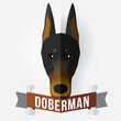 Image of a dog's face. Doberman Pinsche. Vector illustration