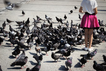 Pretty Girl Feeding Pigeons