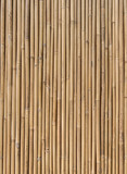 Fototapeta Sypialnia - bamboo fence