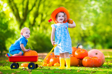kids at halloween pumpkin patch