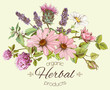 © purplebird - Vector vintage hand drawn composition with wild flowers and herbs. Design for cosmetics, store, beauty salon, herbal tea, natural and organic products. Can be used like a greeting card.