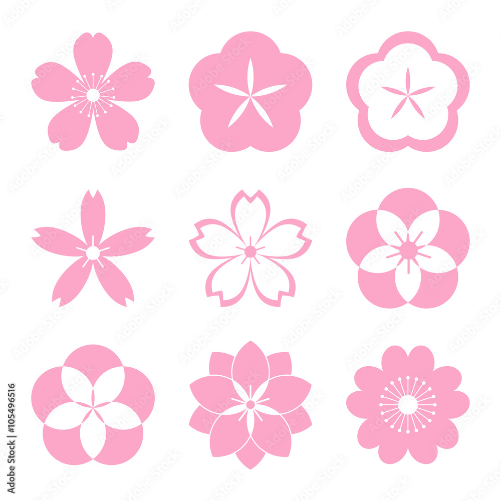 ⭐️All Cherry Blossoms⭐️新品6枚set⭐️婦人画報別注桜 New Otani Cherry Blossom Month #桜 #cherryblossom #sakura