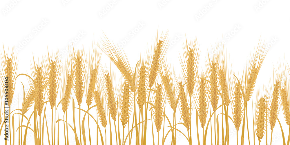 Ears of wheat horizontal border seamless pattern - obrazy, fototapety, plakaty 