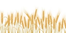 Ears Of Wheat Horizontal Border Seamless Pattern