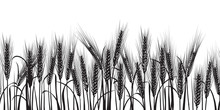 Ears Of Wheat Black Horizontal Seamless Pattern