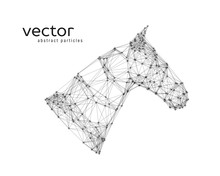 Abstract Vector Illustration Of Horse Head