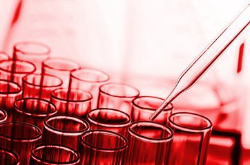 Wall Mural - science laboratory test tubes in red tone