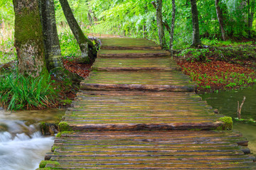 Wood path in the Plitvice national park