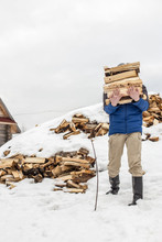 A Man Carries In His Hand A Great Bunch Of Chopped Firewood In The Winter In The Village Against The Backdrop Of Snow-covered Heaps Of Other Wood