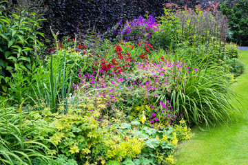 Beautiful walled garden