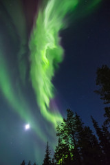 Wall Mural - Northern lights (Aurora borealis) in the sky