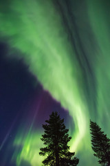 Wall Mural - Northern lights (Aurora borealis) in the sky