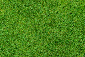 Wall Mural - Background and texture of Beautiful green grass pattern from golf course