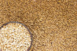Grains of oats close up. Ground oats in a wooden box