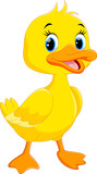 Fototapeta  - Cute duck cartoon isolated on white background