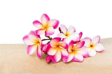 Wall Mural - isolated pink flower plumeria bunch decorated on rock tile besid