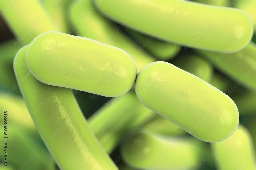 Bacterial infection. Rod-shaped bacteria Stock Illustration | Adobe Stock