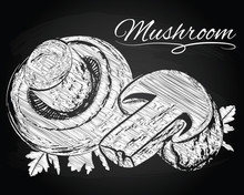 Vector Mushrooms On The Chalkboard Background