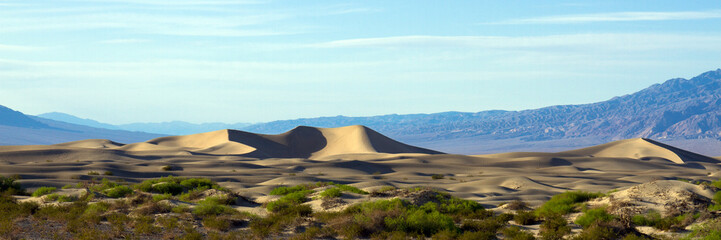 Wall Mural - Death Valley NP sand dunes sunset