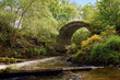© Duncan Andison - The Old Bridge of Livet