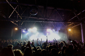 Crowd at concert