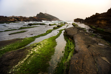 Wall Mural - Yehliu Geopark, Taiwan.