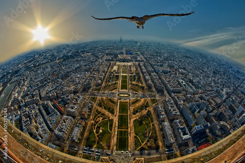Fototapeta na szkło Seagull lata nad Mars polem w Paryż, Francja