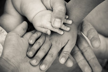Four Hands Of  Family. Concept Of Love, Friendship, Happiness In Family. Black And White Shot.