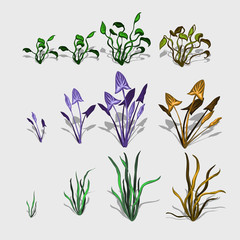 Wall Mural - Fancy different plants and grass, big vector set