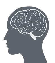 Vector Brain Silhouette Illustration With Woman Face Profile.